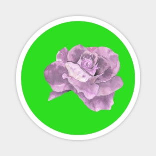 Marshmallow Rose Magnet